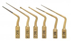 piezoelektrischer Ultraschalleinsatz 1