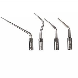 piezoelektrischer Ultraschalleinsatz 1