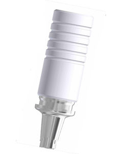 Implantat-Abutment / mit Innenverbindung 1