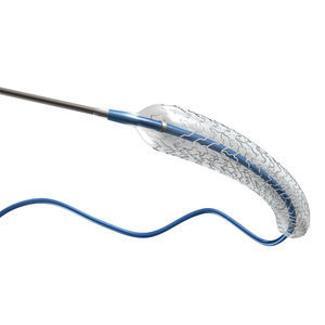 Koronararterien-Stent 1