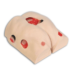 Anatomisches Modell / Lumbal-Sakral