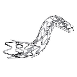 Koronararterien-Stent 1