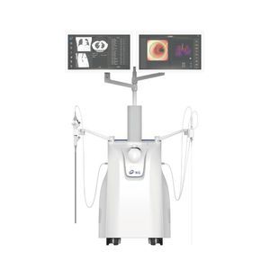Simulator für endobronchiale Ultraschalluntersuchung 1