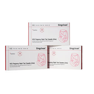 Schwangerschafts-Testkit
