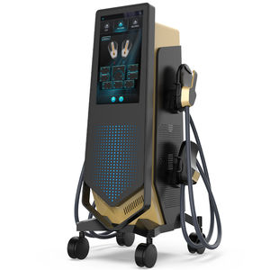 RF-Body-Contouring-Gerät 1