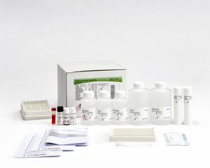 Testkit / Hepatitis B