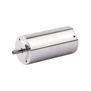 bürstenloser Motor
