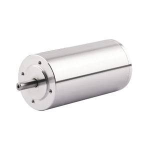 bürstenloser Motor