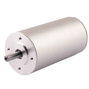 bürstenloser Motor
