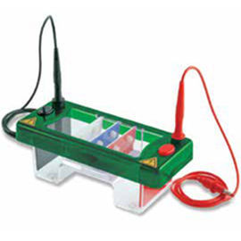 Elektrophoresekammer für PCR
