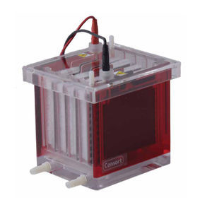 Blot-Kammer