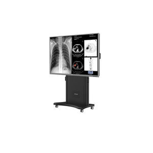 Monitor für medizinische Bildgebung 1