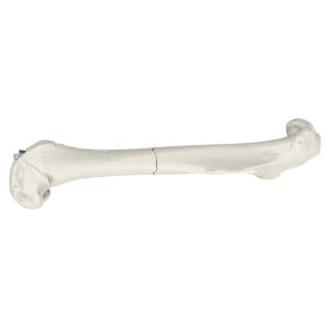 Veterinär-Orthopädieschraube / Kompression