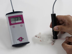 Thermometer für Nagetiere