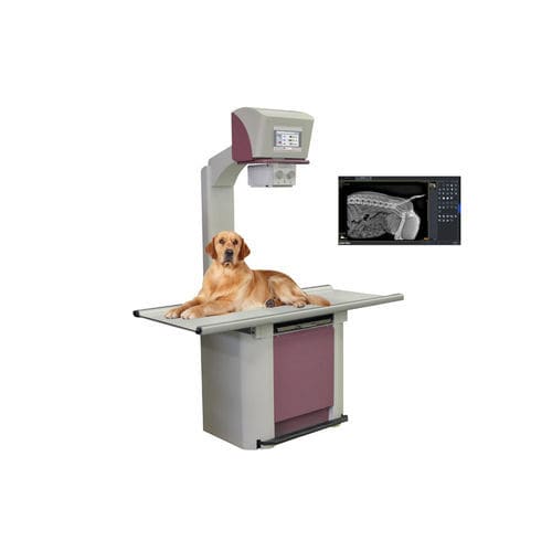 Digitales Veterinär-Röntgensystem - IDeVet Digital Veterinarian Imaging - mit Tisch