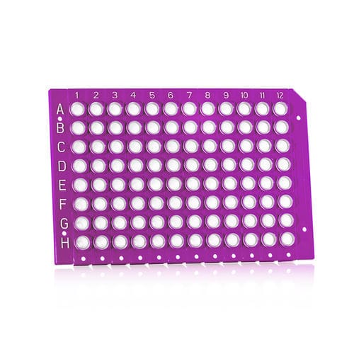 Labor-Mikroplatte - FrameStar®  - Azenta life sciences - 96 Well / 8 Mulden / zerbrechlich