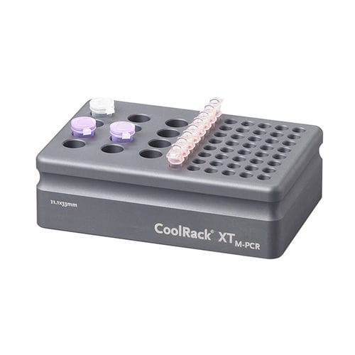 Labor-Halter / Rohr - CoolRack™ XT - Azenta life sciences - für Mikrozentrifugalrohr / zum Tiefgefrieren / Kühlung