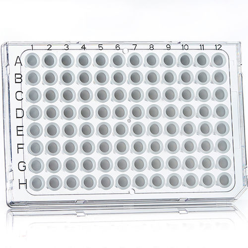 Mikroplatte für PCR - 4ti-0950/C - Azenta life sciences - 96 Well