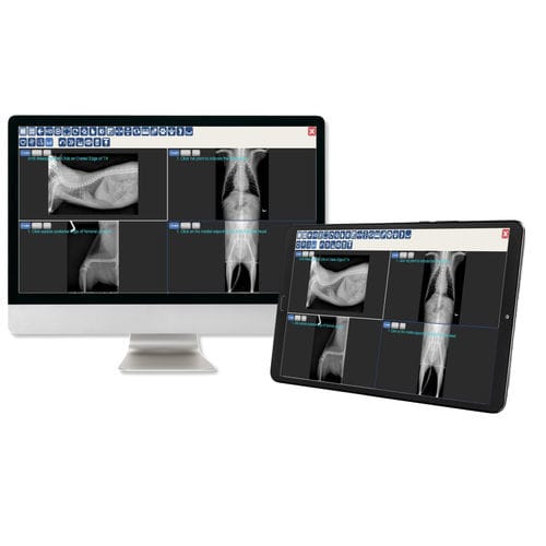 PACS für medizinische Bildgebung - JPI Healthcare Solutions - für Veterinärmedizin