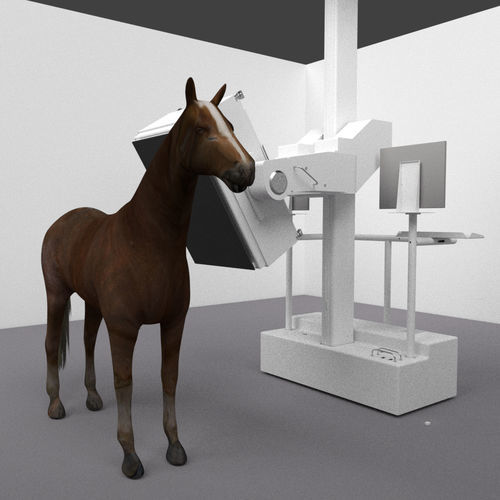 Veterinär-CT-Scanner / für Pferde - MIE