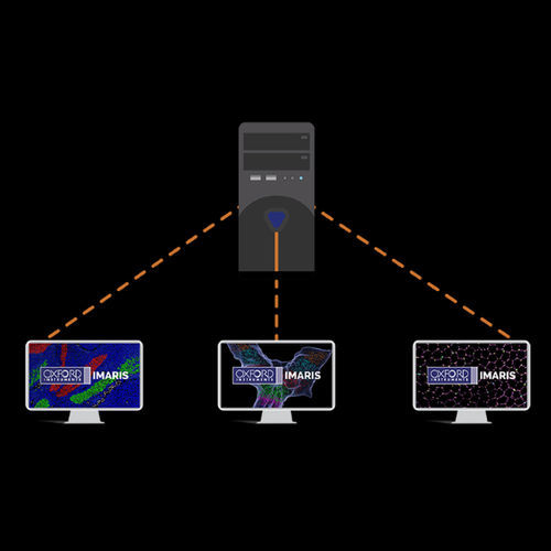 Bildanalyse-Software - Imaris  - Oxford Instruments - Reporting / 3D-Visualisierung / Mess