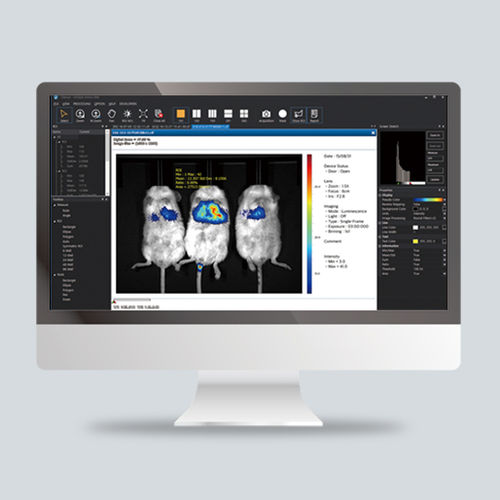 Bildanalyse-Software - CleVue™ - Vieworks - Steuerung / Visualisierung / Beschaffung
