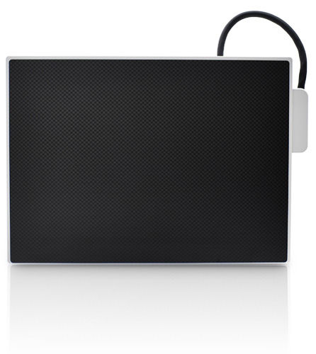 Flachbilddetektor für Mammographie - VIVIX-M 2430S - Vieworks - tragbar