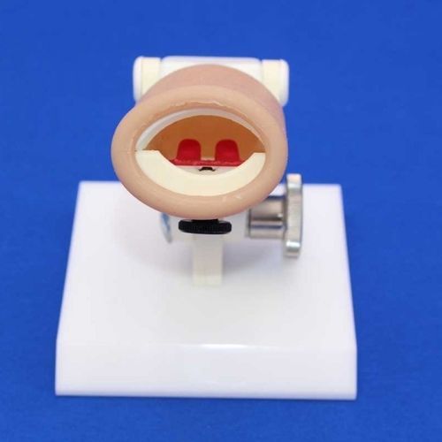 Patientensimulator für plastische Chirurgie - SIMFVP - Créaplast - Baby / Mund