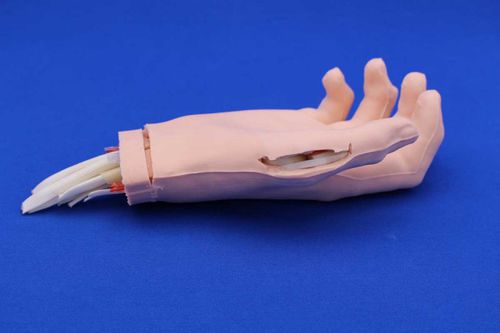 Trainingssimulator - HANDACT - Créaplast - Chirurgie / Hand