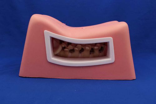 Trainingssimulator - MISPIN - Créaplast - für minimalinvasive Chirurgie / für Wirbelsäulenchirurgie / Oberkörper