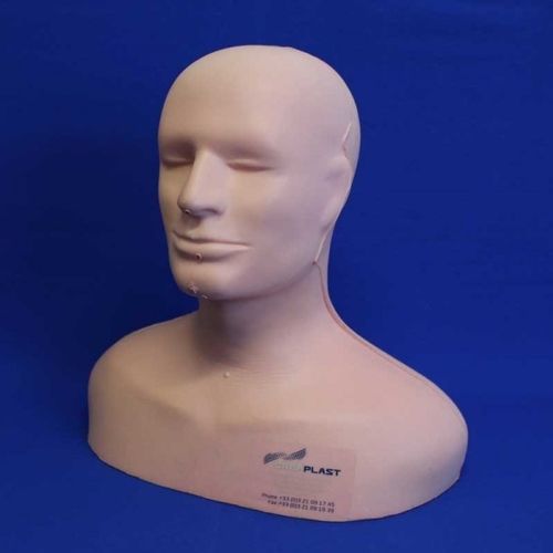 Trainingssimulator - CM00 - Créaplast - für Wirbelsäulenchirurgie / Oberkörper