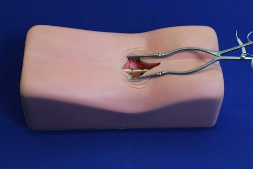Patientensimulator für Wirbelsäulenchirurgie - LM00 - Créaplast - Oberkörper