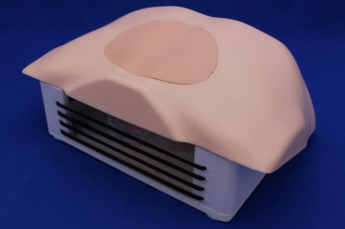Simulator für Punktionen - SIMPOST - Créaplast - für Biopsie / für Allgemeinpflege