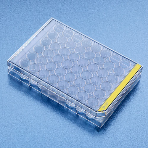Labor-Mikroplatte - 92 series - TPP Techno Plastic Products - Gewebekultur / 96 Well / 24 Well