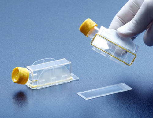 Zellkultur-Phiole - Clipmax  - TPP Techno Plastic Products - Glas