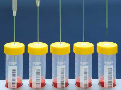 Labor-Entnahmeröhrchen - TubeSpin® Bioreactor 50  - TPP Techno Plastic Products - zylinderförmig / Zellkultur / steril