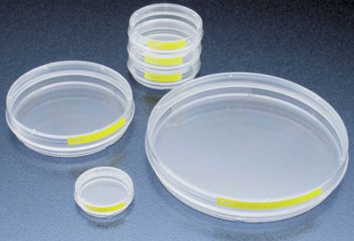 Petrischale für Gewebekultur - 93 series - TPP Techno Plastic Products