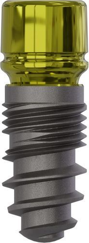 Konisches Zahnimplantat - 0800 - Champions Implants GmbH - Titan / gerade