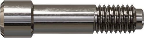 Titan-Implantatschraube - 3085 - Champions Implants GmbH - Schrauben