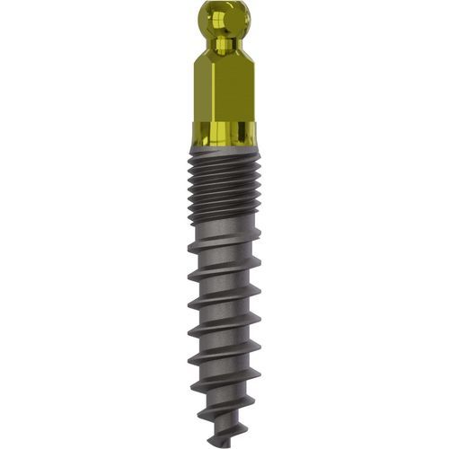 Konisches Zahnimplantat - 2016 - Champions Implants GmbH - Titan / Kugel / gerade