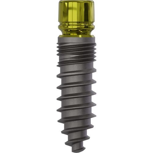 Konisches Zahnimplantat - 0847 - Champions Implants GmbH - Titan / gerade