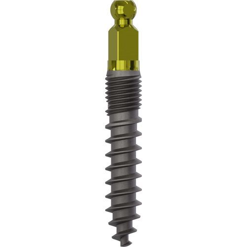 Konisches Zahnimplantat - 2040 - Champions Implants GmbH - Titan / Kugel / gerade