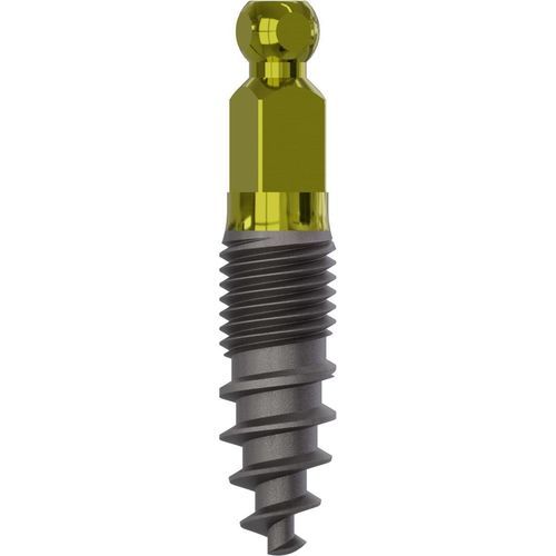 Konisches Zahnimplantat - 1890 - Champions Implants GmbH - Titan / Kugel / einteilig