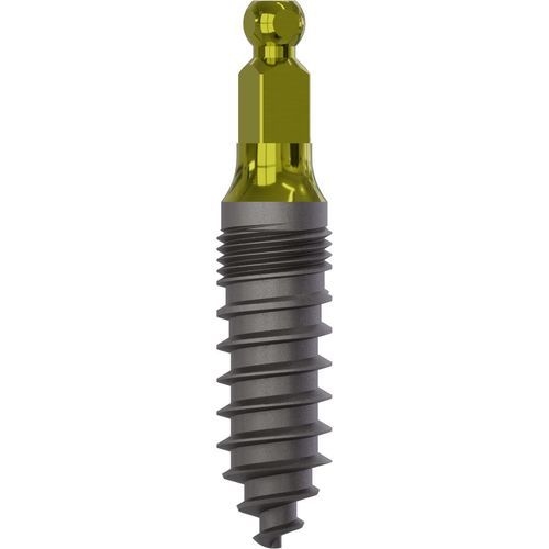 Konisches Zahnimplantat - 2025 - Champions Implants GmbH - Titan / Kugel / gerade