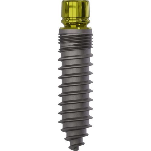Konisches Zahnimplantat - 0880 - Champions Implants GmbH - Titan / gerade
