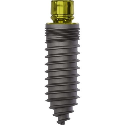Konisches Zahnimplantat - 0885 - Champions Implants GmbH - Titan / gerade