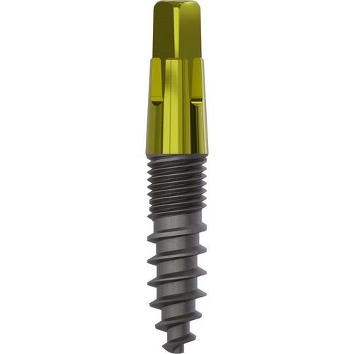 Konisches Zahnimplantat - 1015 - Champions Implants GmbH - Titan / gerade
