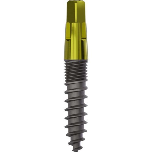 Konisches Zahnimplantat - 1040 - Champions Implants GmbH - Titan / quadratisch / gerade