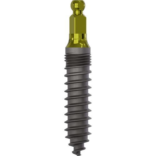 Zylindrisches Zahnimplantat - 2070 - Champions Implants GmbH - Titan / Kugel / gerade