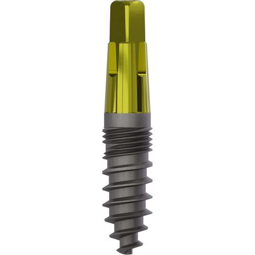Konisches Zahnimplantat - 1020 - Champions Implants GmbH - Titan / gerade